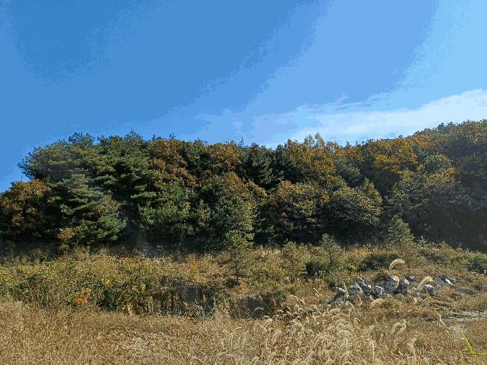 경상북도 상주시 화서면 상용리 308-1 주택 경매 사진 3