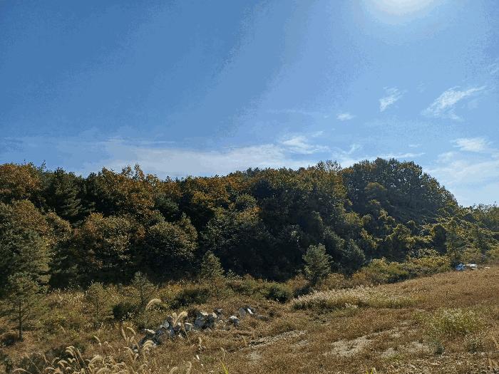 경상북도 상주시 화서면 상용리 308-1 주택 경매 사진 9