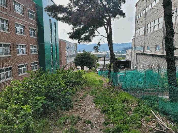 대구광역시 달성군 다사읍 서재리 31-6 센텀팩토리주건축물 1동 지하1층비102호 아파트형공장 경매 사진 2