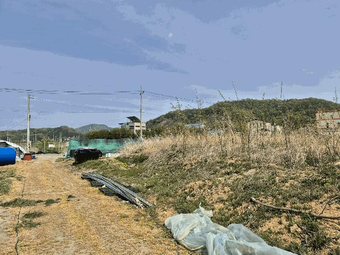 경상북도 성주군 성주읍 예산리 271-7 전 경매 사진 2