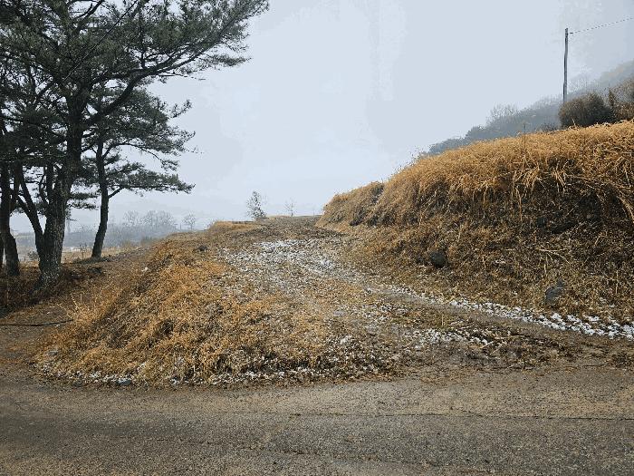 울산광역시 울주군 상북면 산전리 705-1 답 경매 사진 4