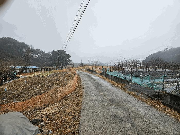 울산광역시 울주군 상북면 산전리 705-1 답 경매 사진 5
