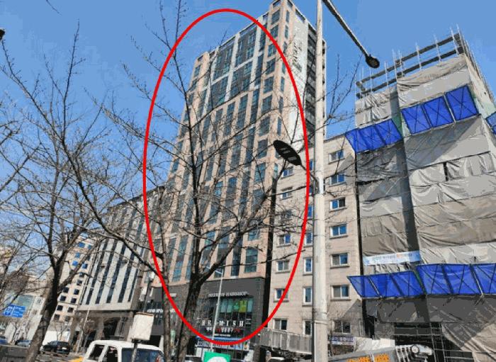 서울특별시 관악구 신림동 1568-5 더위일관악파크뷰 9층906호 오피스텔 경매 사진 6