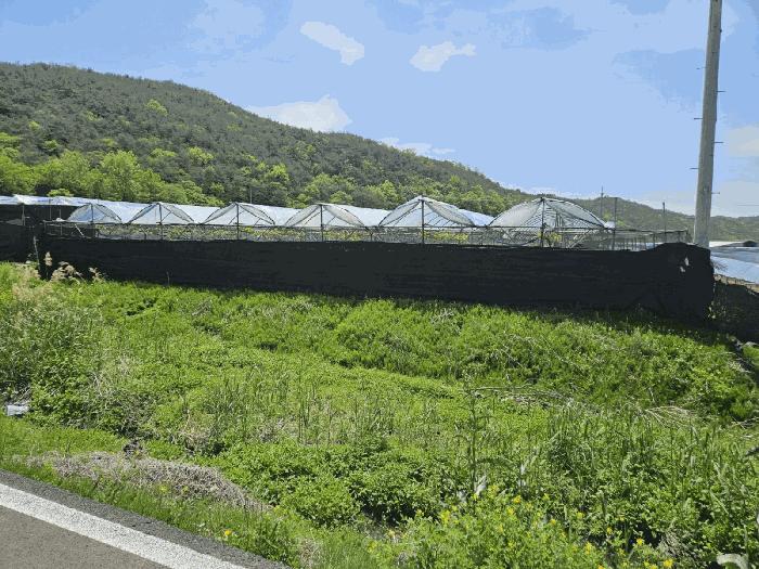 경상북도 영천시 답