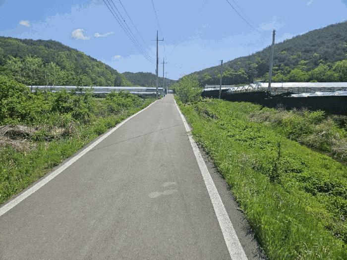 경상북도 영천시 화남면 죽곡리 431 답 경매 사진 4