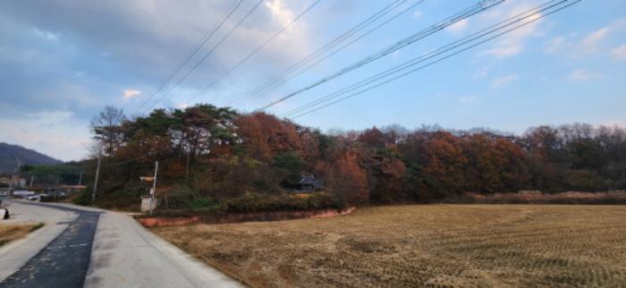 경상북도 김천시 감문면 송북리 243 답 경매 사진 12