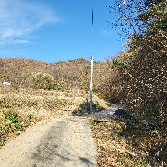 경상북도 김천시 감문면 송북리 243 답 경매 사진 7