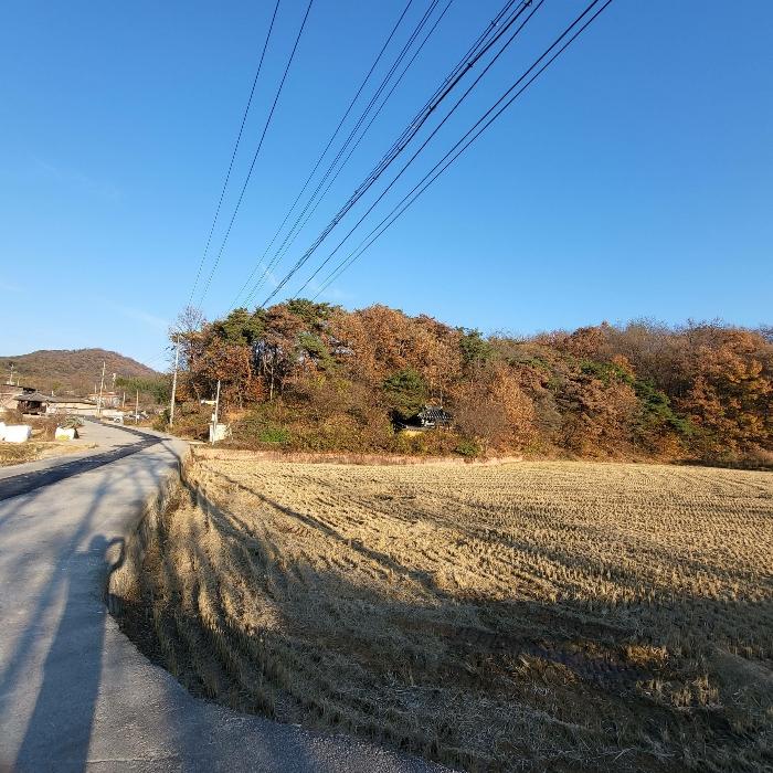 경상북도 김천시 어모면 다남리 산32 임야 경매 사진 1