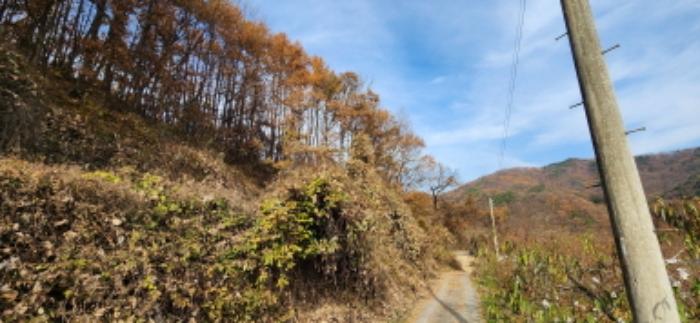 경상북도 김천시 어모면 다남리 산32 임야 경매 사진 18