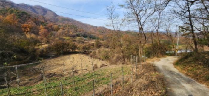 경상북도 김천시 어모면 다남리 산32 임야 경매 사진 19