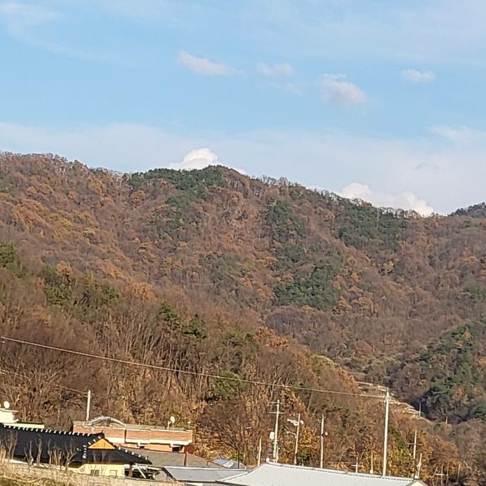 경상북도 김천시 어모면 다남리 산32 임야 경매 사진 2