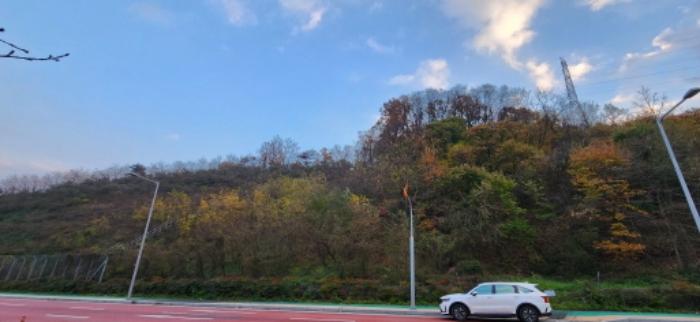 경상북도 김천시 어모면 다남리 산32 임야 경매 사진 23