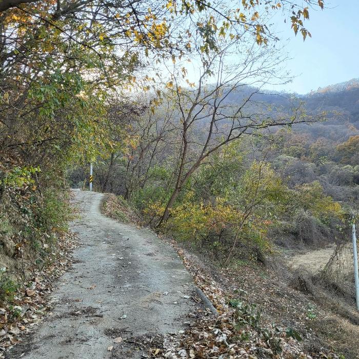 경상북도 김천시 어모면 다남리 산32 임야 경매 사진 4