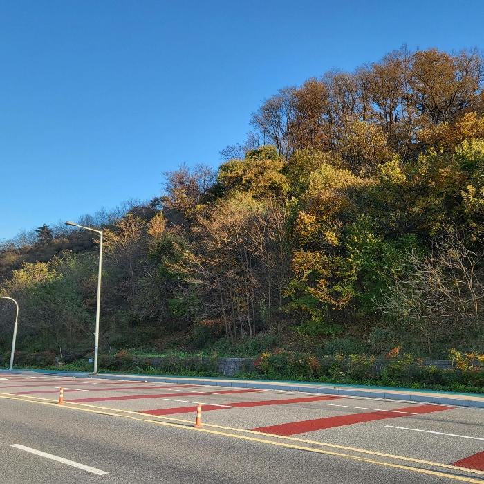 경상북도 김천시 어모면 다남리 산32 임야 경매 사진 5