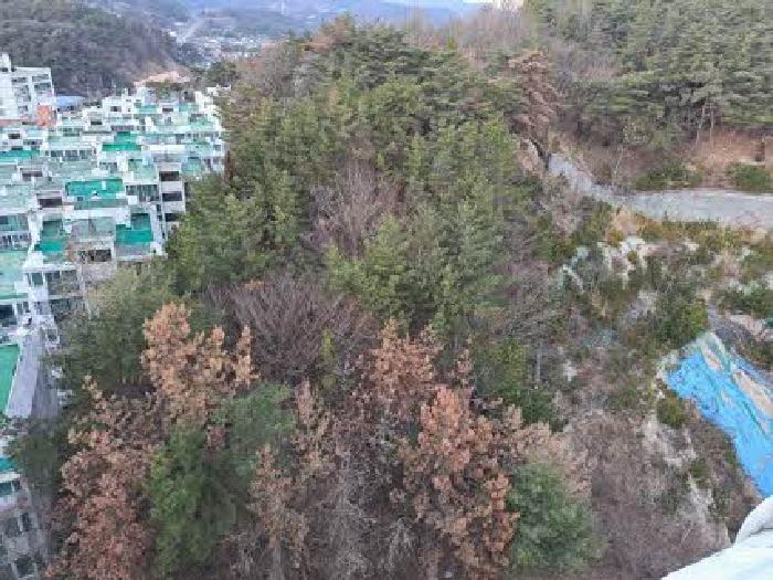 부산광역시 금정구 청룡동 산27-12 임야 경매 사진 11