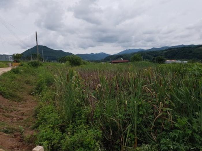 경상북도 청송군 현동면 거성리 649-5 대지 경매 사진 24