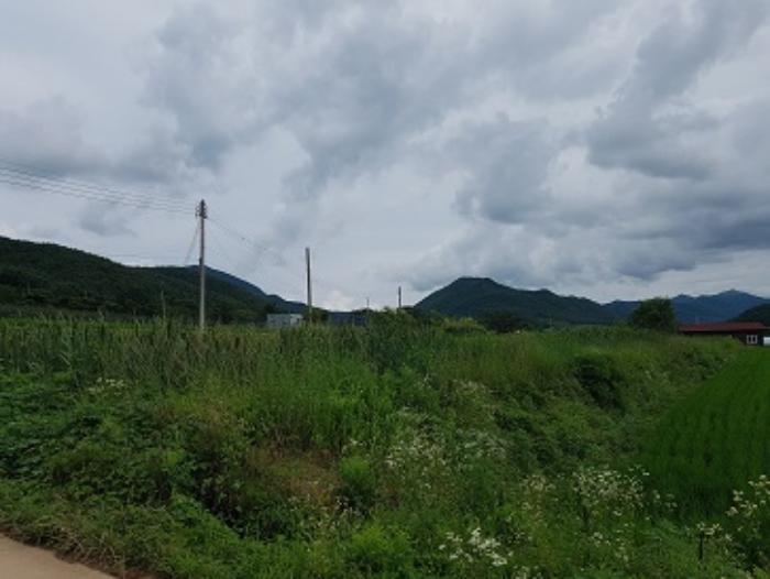 경상북도 청송군 현동면 거성리 649-5 대지 경매 사진 25