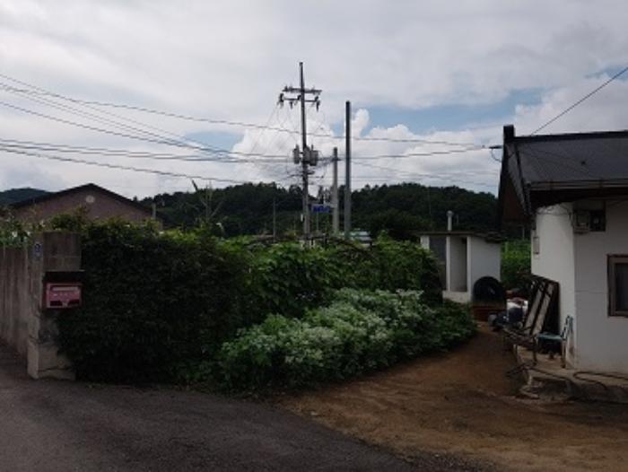 경상북도 청송군 부남면 대전리 539 대지 경매 사진 27