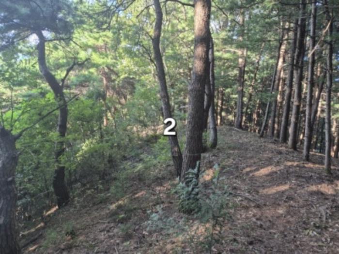 경기도 양평군 개군면 주읍리 산14-1 임야 경매 사진 10