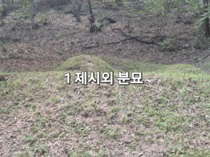 경기도 양평군 개군면 주읍리 산14-1 임야 경매 사진 12