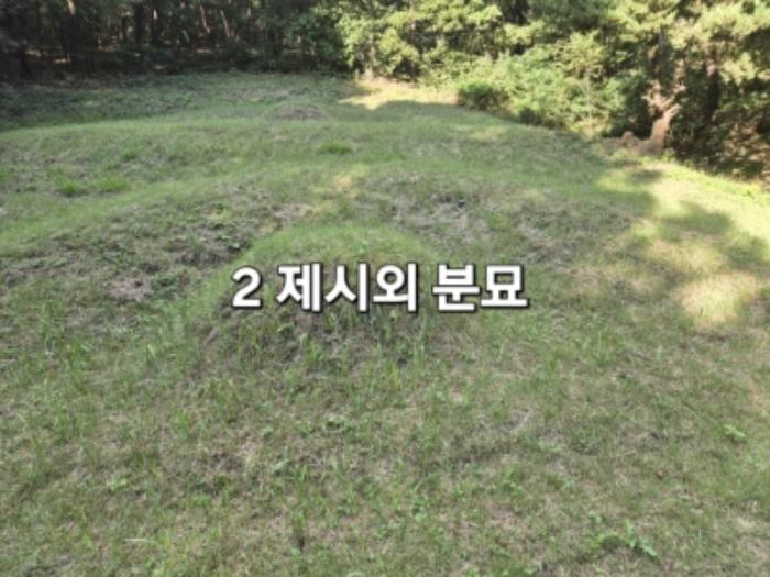 경기도 양평군 개군면 주읍리 산14-1 임야 경매 사진 4
