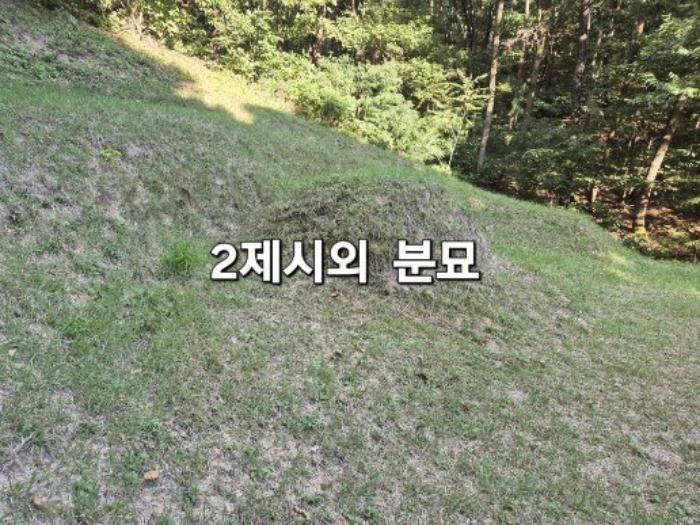경기도 양평군 개군면 주읍리 산14-1 임야 경매 사진 5