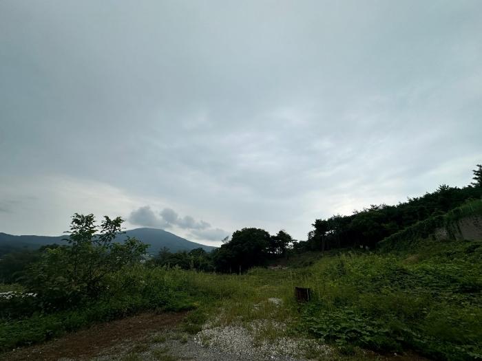 울산광역시 울주군 두동면 은편리 23-17 임야 경매 사진 1