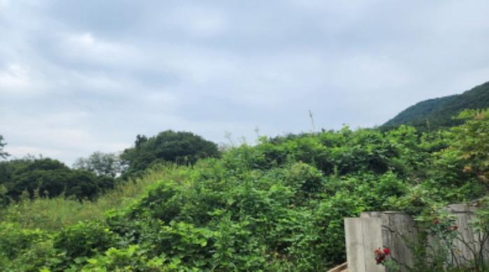 울산광역시 울주군 두동면 은편리 23-17 임야 경매 사진 8