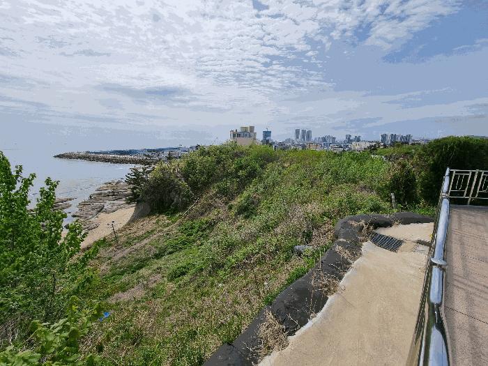 강원특별자치도 속초시 장사동 482-3 임야 경매 사진 10