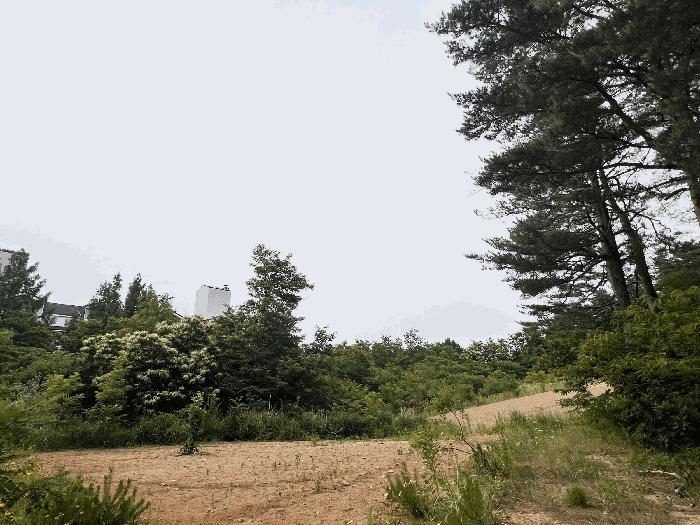 강원특별자치도 속초시 노학동 510-15 전 경매 사진 1