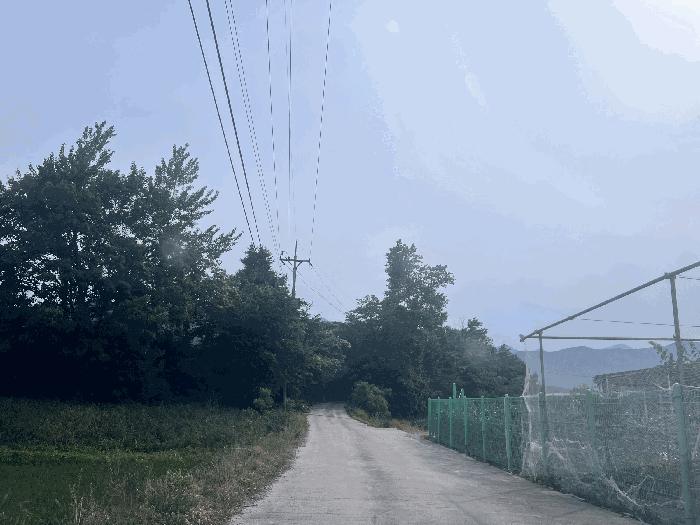 강원특별자치도 속초시 노학동 510-15 전 경매 사진 11