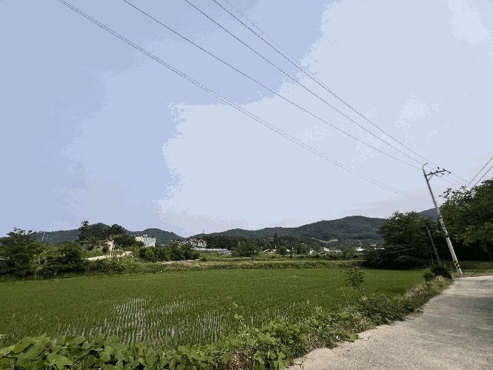 강원특별자치도 속초시 노학동 510-15 전 경매 사진 7