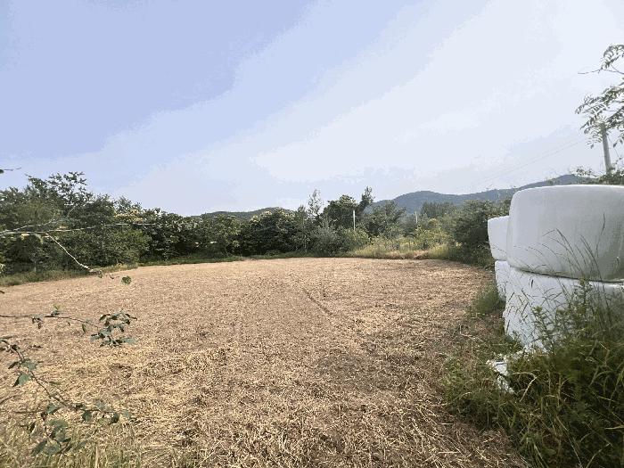 강원특별자치도 속초시 노학동 510-15 전 경매 사진 8