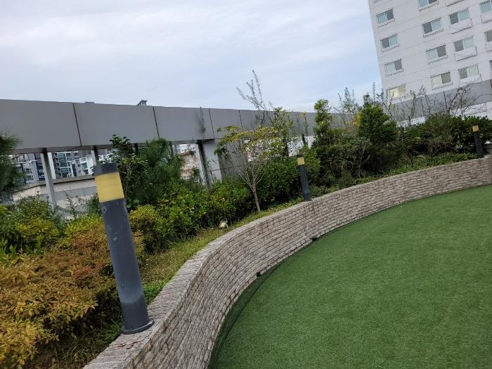 부산광역시 부산진구 양정동 255-1 근린시설 경매 사진 11