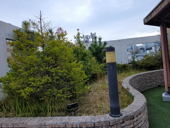 부산광역시 부산진구 양정동 255-1 근린시설 경매 사진 4