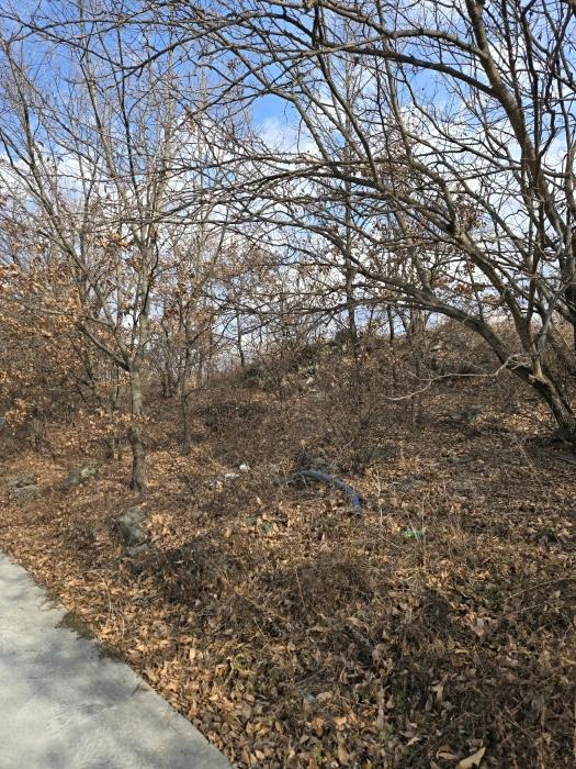 경상남도 함안군 법수면 황사리 336-1 전 경매 사진 16