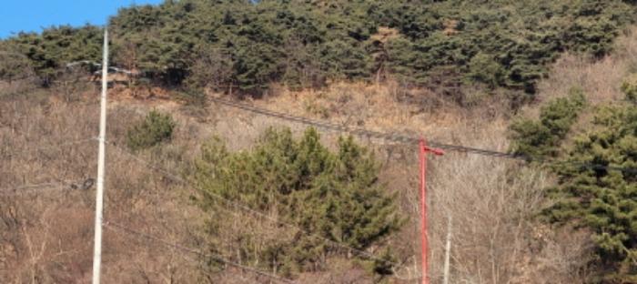 경상북도 청도군 이서면 팔조리 102 임야 경매 사진 7