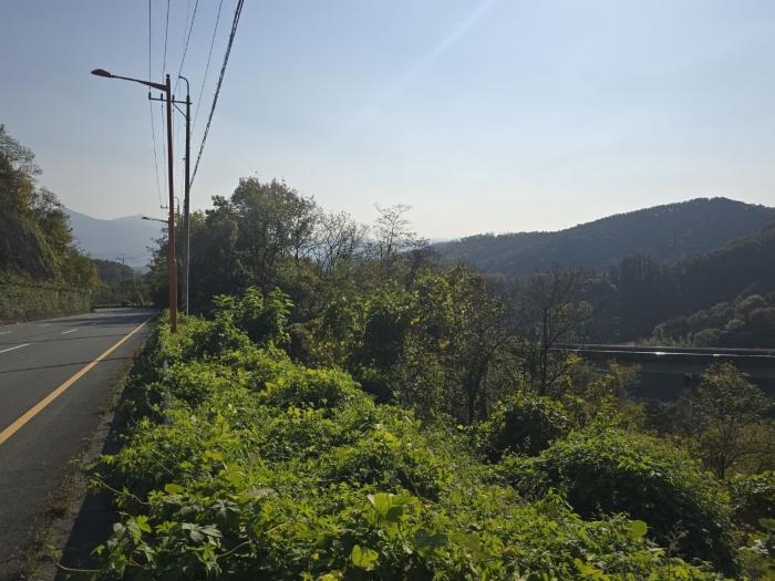 경상북도 청도군 이서면 팔조리 101 전 경매 사진 2