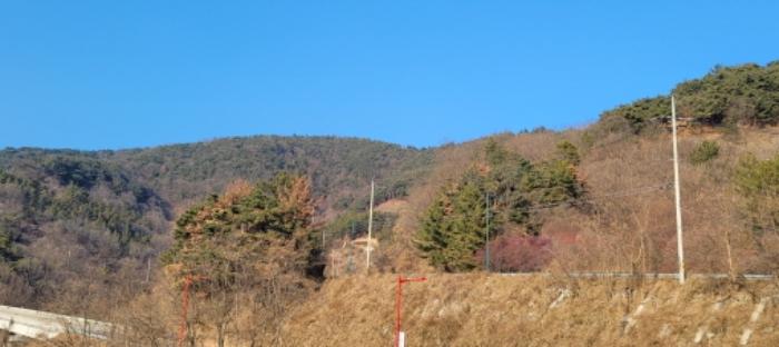경상북도 청도군 이서면 팔조리 산62 임야 경매 사진 9