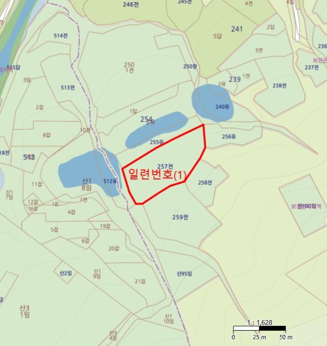 경상북도 영덕군 지품면 지품리 257 전 경매 사진 4