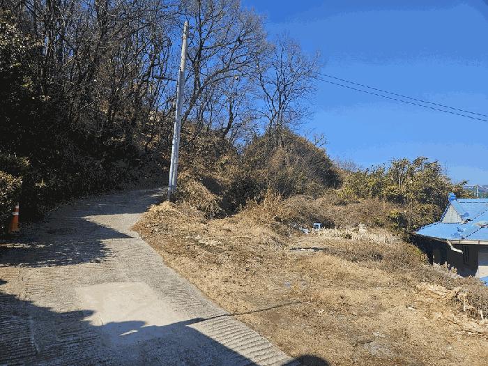 대구 동구 대지