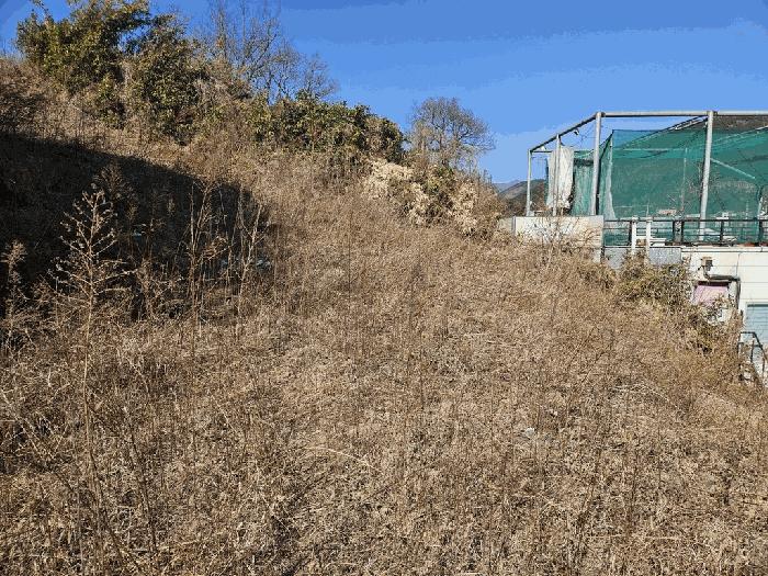 대구광역시 동구 봉무동 949 대지 경매 사진 2