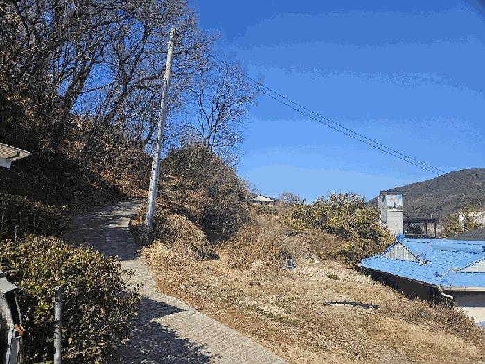 대구광역시 동구 봉무동 949 대지 경매 사진 9
