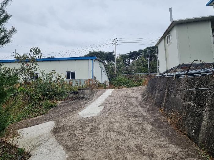 경상북도 영덕군 지품면 오천리 522 창고 경매 사진 6