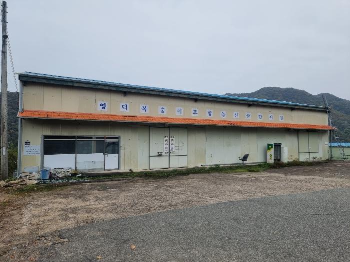 경상북도 영덕군 지품면 오천리 522 창고 경매 사진 9