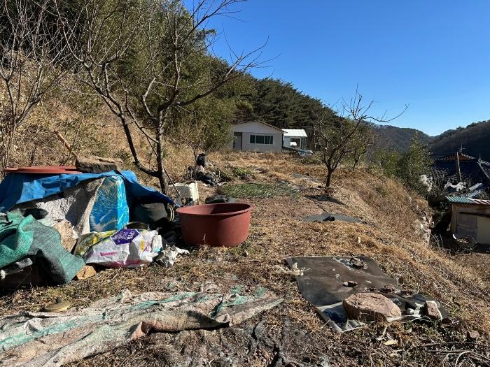 경상북도 영덕군 남정면 사암리 315 대지 경매 사진 2