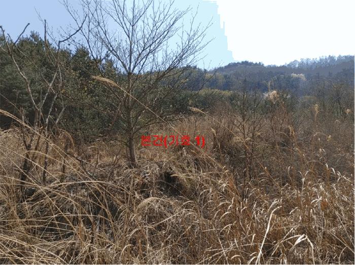 경상남도 함양군 휴천면 태관리 796 창고 경매 사진 1