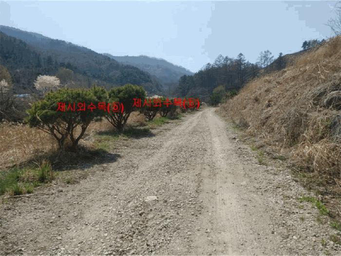 경상남도 함양군 휴천면 태관리 796 창고 경매 사진 12