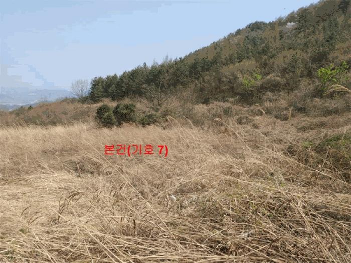 경상남도 함양군 휴천면 태관리 796 창고 경매 사진 15