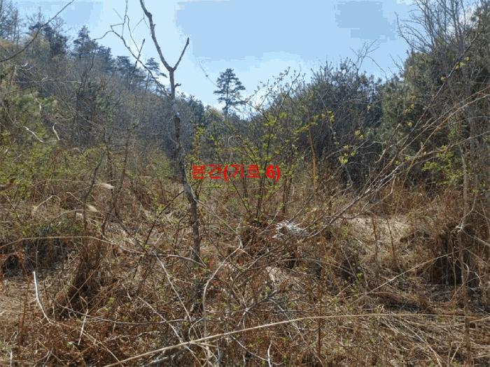 경상남도 함양군 휴천면 태관리 796 창고 경매 사진 3